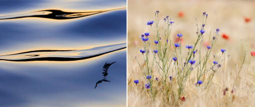 Licht und Farben, Impressionen und Stimmungen