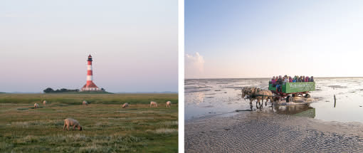Fotoaugenblicke am nordfriesischen Wattenmeer
