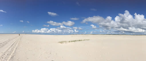 Künstlerische Naturfotografie auf Amrum