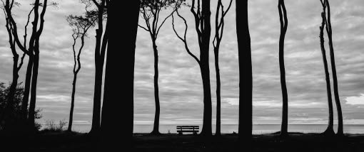 Schwarzweiß-Fotografie an  der Ostseeküste