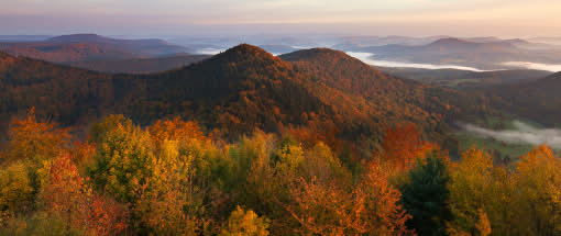 Der Pfälzer Wald im herbstlichen Farbrausch