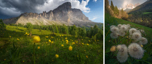 Landschaftsfotografie - Wildblüten und Berge im Fokus